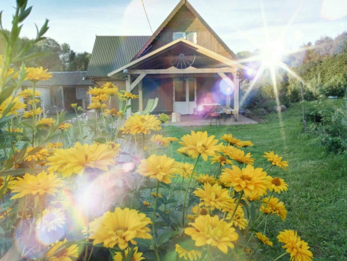 The Lonely Oak Cottage شيبليشكي المظهر الخارجي الصورة